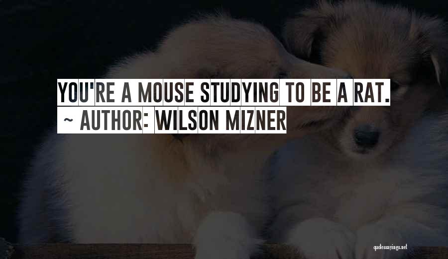 Wilson Mizner Quotes: You're A Mouse Studying To Be A Rat.