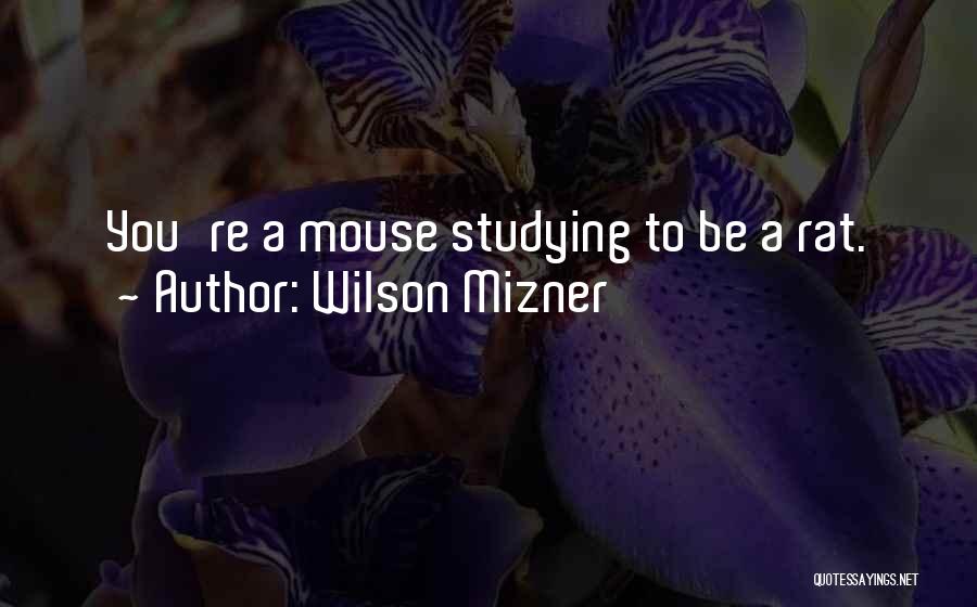 Wilson Mizner Quotes: You're A Mouse Studying To Be A Rat.