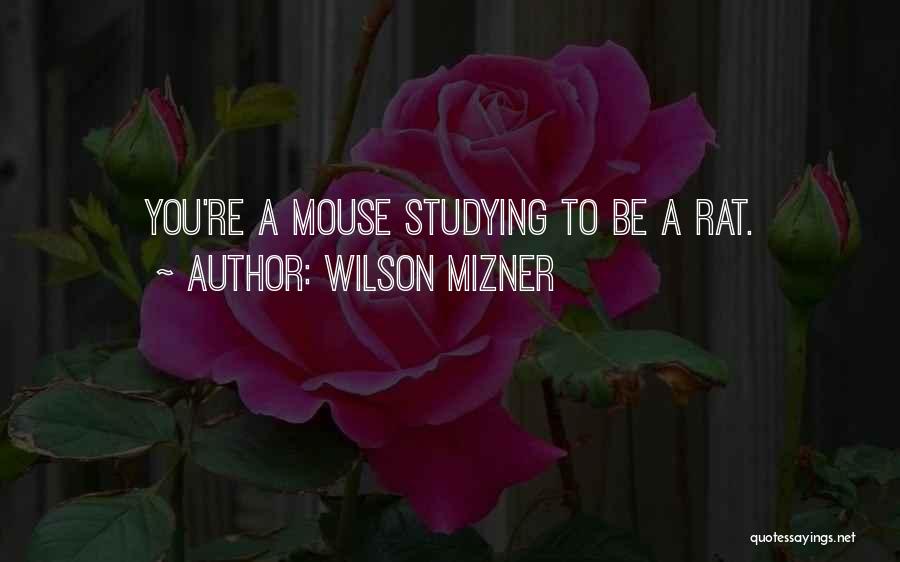 Wilson Mizner Quotes: You're A Mouse Studying To Be A Rat.
