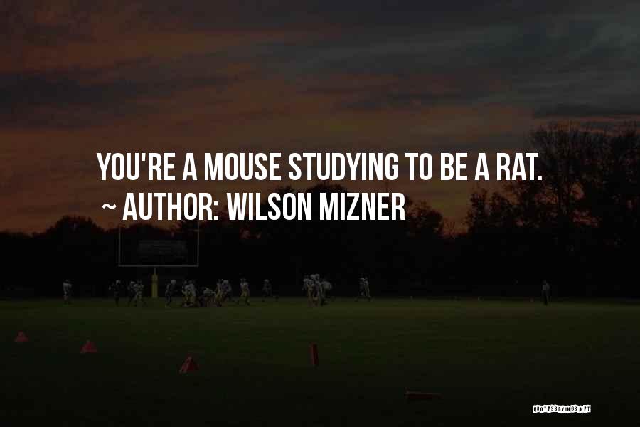 Wilson Mizner Quotes: You're A Mouse Studying To Be A Rat.