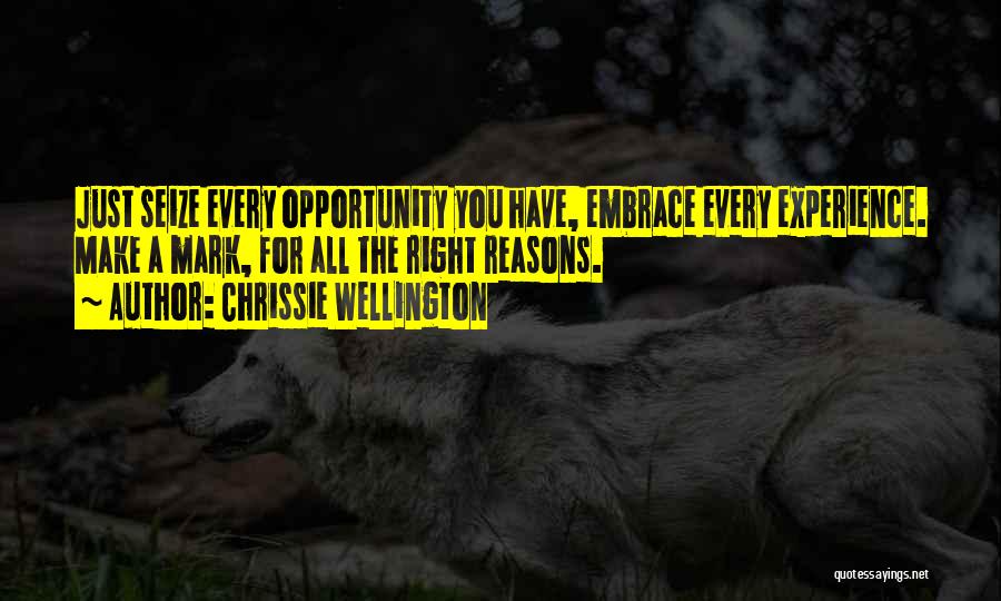 Chrissie Wellington Quotes: Just Seize Every Opportunity You Have, Embrace Every Experience. Make A Mark, For All The Right Reasons.