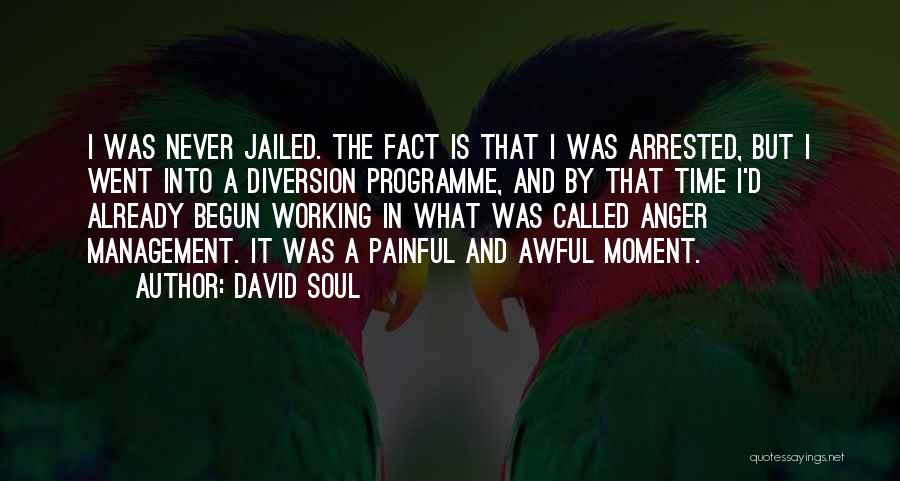 David Soul Quotes: I Was Never Jailed. The Fact Is That I Was Arrested, But I Went Into A Diversion Programme, And By