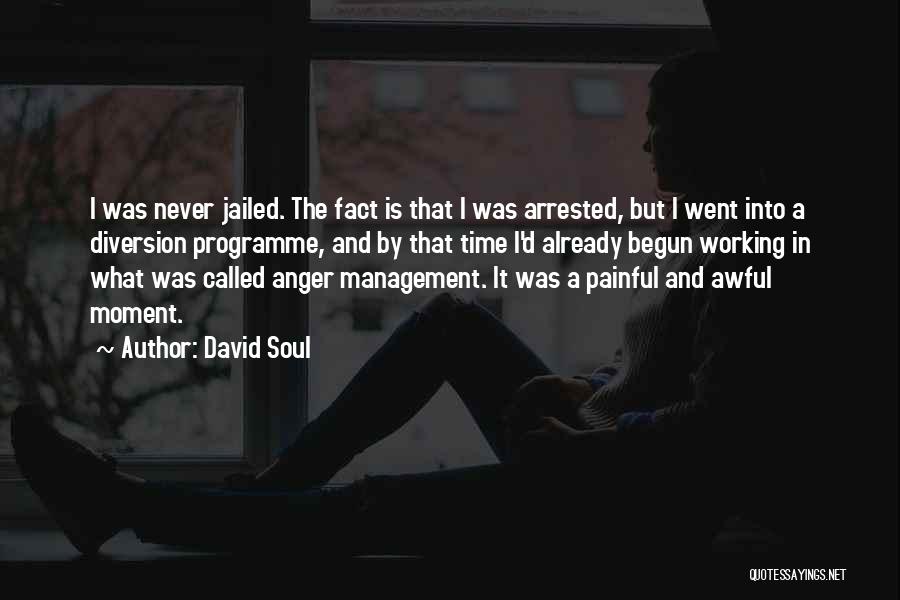 David Soul Quotes: I Was Never Jailed. The Fact Is That I Was Arrested, But I Went Into A Diversion Programme, And By