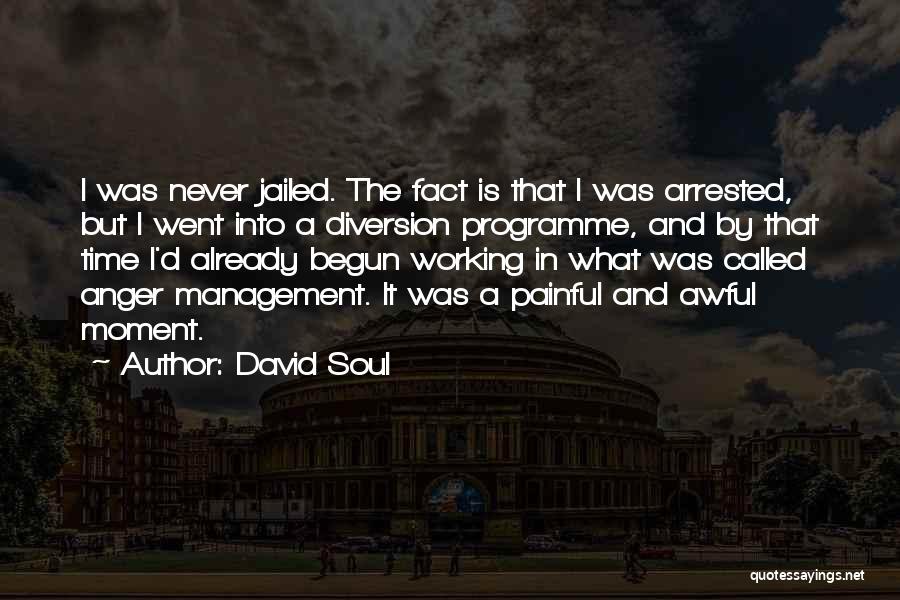 David Soul Quotes: I Was Never Jailed. The Fact Is That I Was Arrested, But I Went Into A Diversion Programme, And By