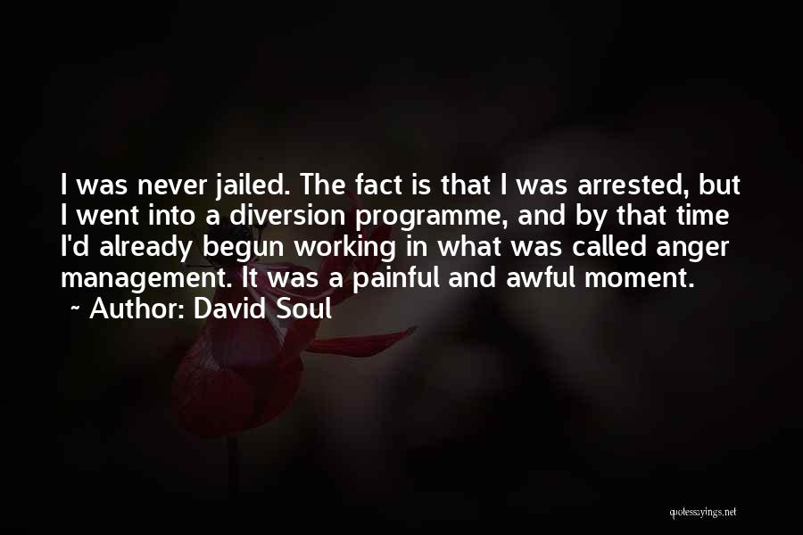 David Soul Quotes: I Was Never Jailed. The Fact Is That I Was Arrested, But I Went Into A Diversion Programme, And By