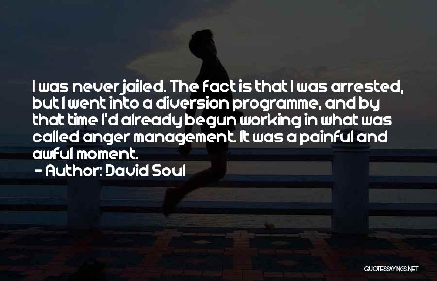 David Soul Quotes: I Was Never Jailed. The Fact Is That I Was Arrested, But I Went Into A Diversion Programme, And By