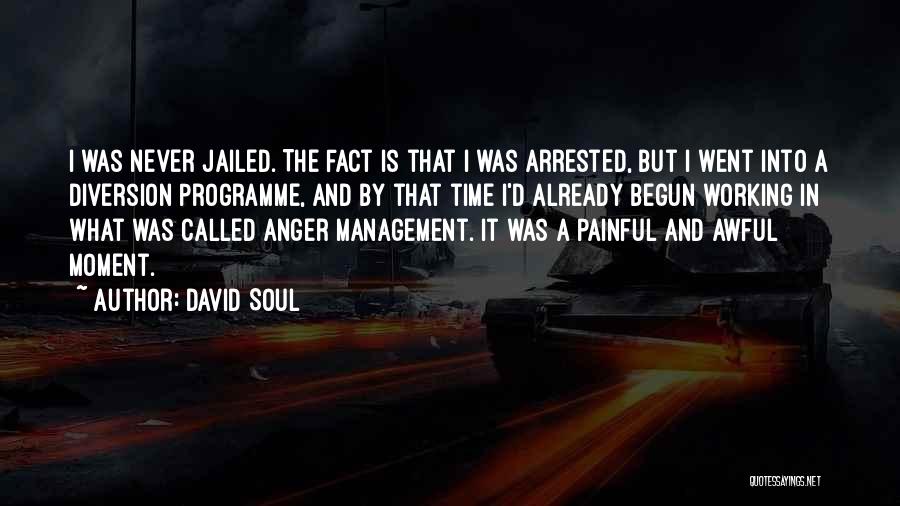 David Soul Quotes: I Was Never Jailed. The Fact Is That I Was Arrested, But I Went Into A Diversion Programme, And By