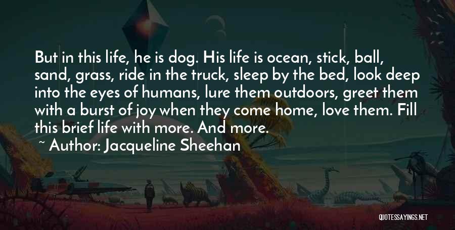 Jacqueline Sheehan Quotes: But In This Life, He Is Dog. His Life Is Ocean, Stick, Ball, Sand, Grass, Ride In The Truck, Sleep