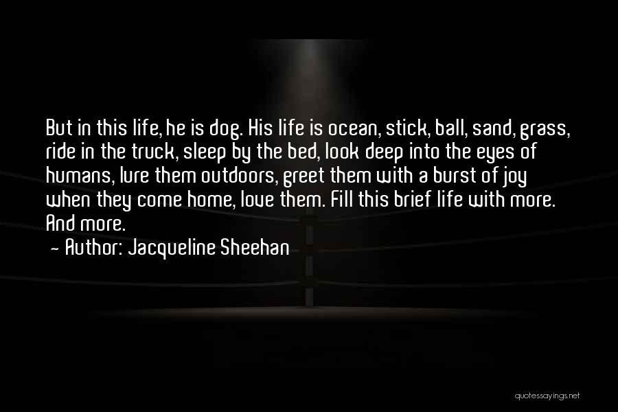 Jacqueline Sheehan Quotes: But In This Life, He Is Dog. His Life Is Ocean, Stick, Ball, Sand, Grass, Ride In The Truck, Sleep