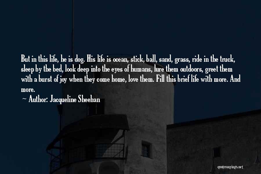 Jacqueline Sheehan Quotes: But In This Life, He Is Dog. His Life Is Ocean, Stick, Ball, Sand, Grass, Ride In The Truck, Sleep