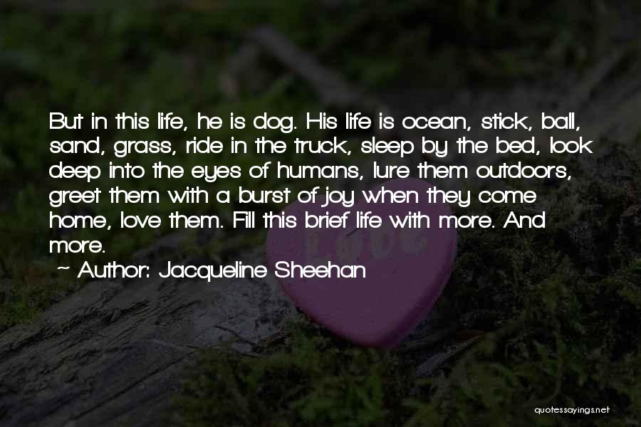 Jacqueline Sheehan Quotes: But In This Life, He Is Dog. His Life Is Ocean, Stick, Ball, Sand, Grass, Ride In The Truck, Sleep