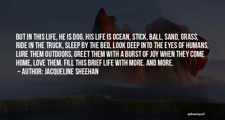 Jacqueline Sheehan Quotes: But In This Life, He Is Dog. His Life Is Ocean, Stick, Ball, Sand, Grass, Ride In The Truck, Sleep