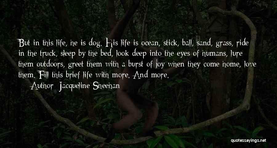 Jacqueline Sheehan Quotes: But In This Life, He Is Dog. His Life Is Ocean, Stick, Ball, Sand, Grass, Ride In The Truck, Sleep