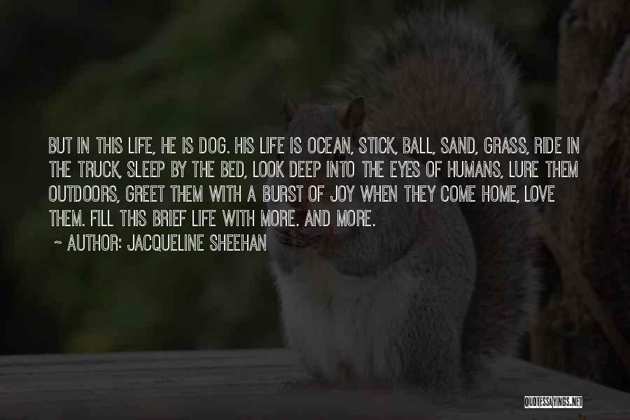 Jacqueline Sheehan Quotes: But In This Life, He Is Dog. His Life Is Ocean, Stick, Ball, Sand, Grass, Ride In The Truck, Sleep