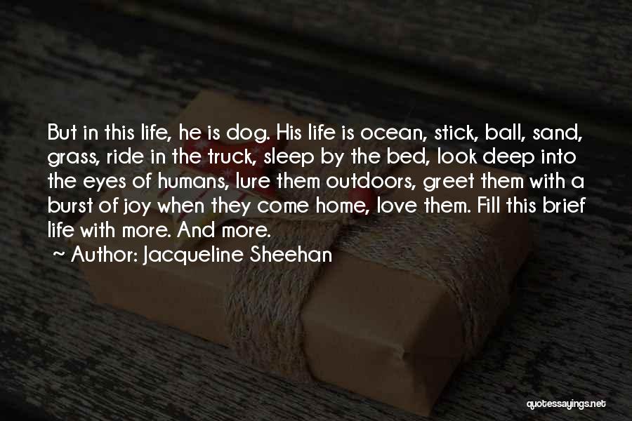 Jacqueline Sheehan Quotes: But In This Life, He Is Dog. His Life Is Ocean, Stick, Ball, Sand, Grass, Ride In The Truck, Sleep