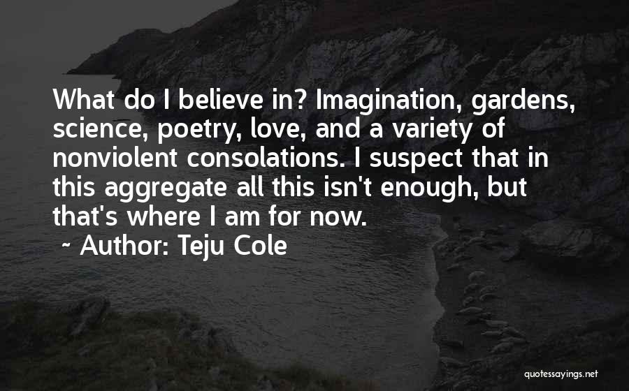 Teju Cole Quotes: What Do I Believe In? Imagination, Gardens, Science, Poetry, Love, And A Variety Of Nonviolent Consolations. I Suspect That In