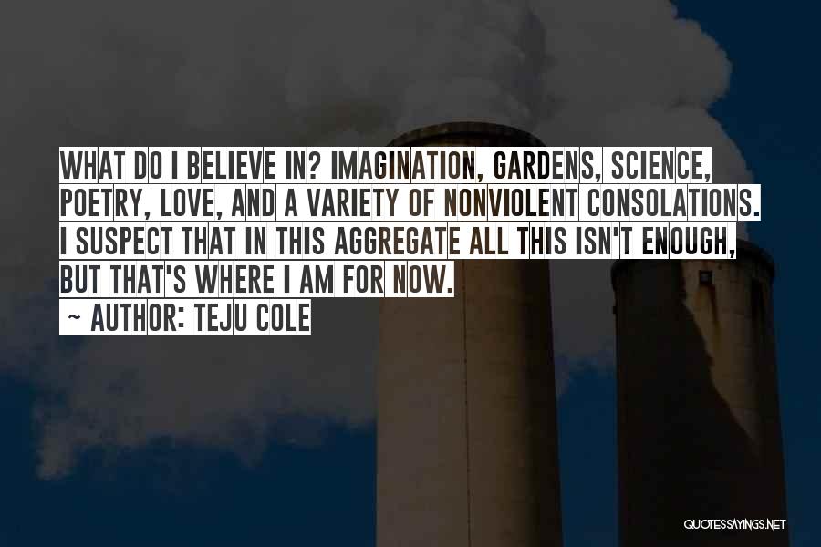 Teju Cole Quotes: What Do I Believe In? Imagination, Gardens, Science, Poetry, Love, And A Variety Of Nonviolent Consolations. I Suspect That In