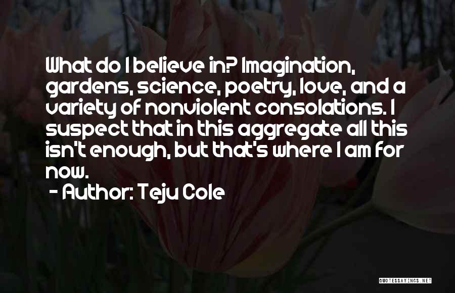 Teju Cole Quotes: What Do I Believe In? Imagination, Gardens, Science, Poetry, Love, And A Variety Of Nonviolent Consolations. I Suspect That In