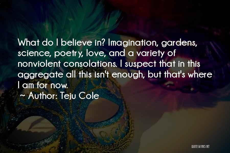 Teju Cole Quotes: What Do I Believe In? Imagination, Gardens, Science, Poetry, Love, And A Variety Of Nonviolent Consolations. I Suspect That In