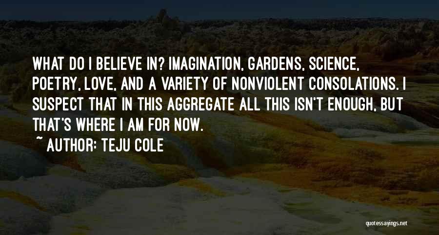 Teju Cole Quotes: What Do I Believe In? Imagination, Gardens, Science, Poetry, Love, And A Variety Of Nonviolent Consolations. I Suspect That In