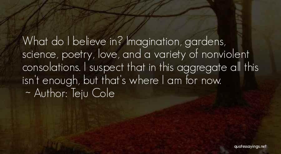 Teju Cole Quotes: What Do I Believe In? Imagination, Gardens, Science, Poetry, Love, And A Variety Of Nonviolent Consolations. I Suspect That In