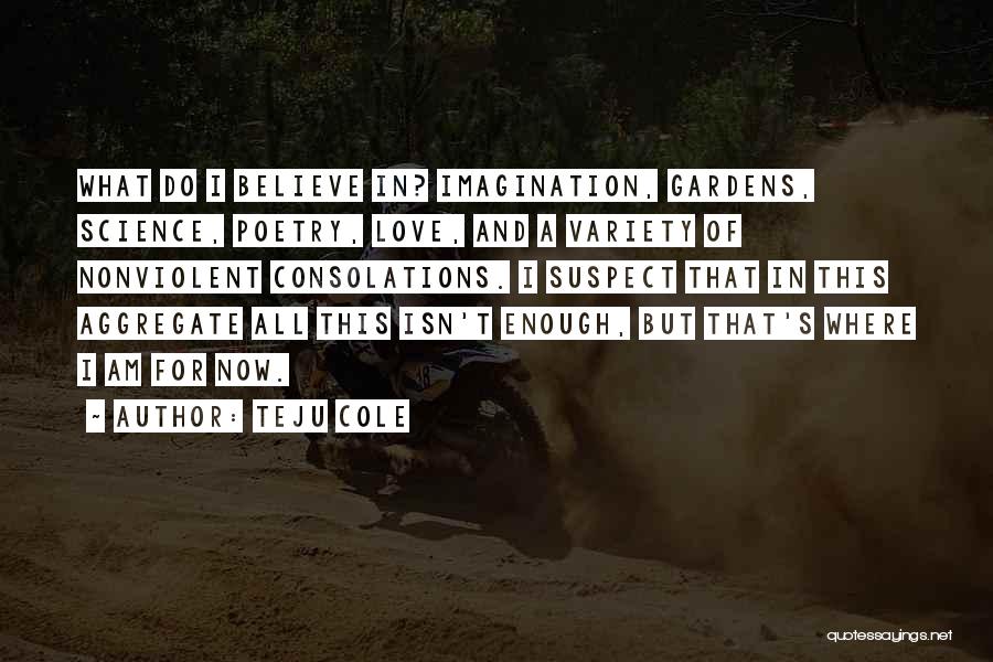 Teju Cole Quotes: What Do I Believe In? Imagination, Gardens, Science, Poetry, Love, And A Variety Of Nonviolent Consolations. I Suspect That In