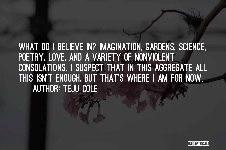 Teju Cole Quotes: What Do I Believe In? Imagination, Gardens, Science, Poetry, Love, And A Variety Of Nonviolent Consolations. I Suspect That In