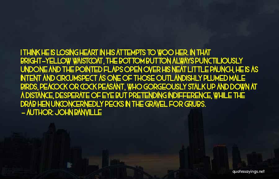 John Banville Quotes: I Think He Is Losing Heart In His Attempts To Woo Her. In That Bright-yellow Waistcoat, The Bottom Button Always