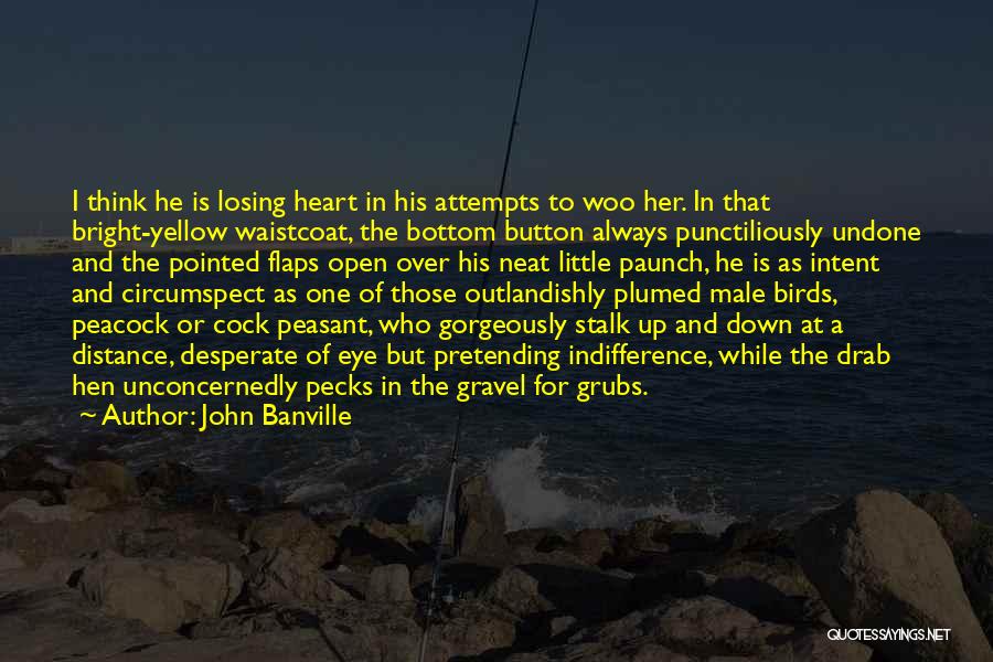 John Banville Quotes: I Think He Is Losing Heart In His Attempts To Woo Her. In That Bright-yellow Waistcoat, The Bottom Button Always