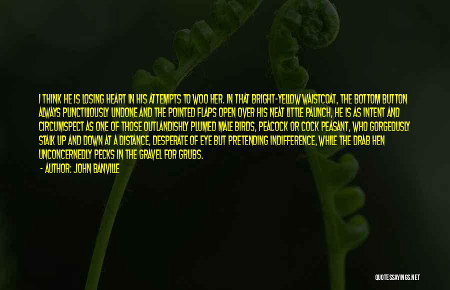 John Banville Quotes: I Think He Is Losing Heart In His Attempts To Woo Her. In That Bright-yellow Waistcoat, The Bottom Button Always
