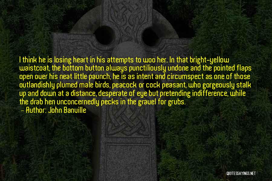 John Banville Quotes: I Think He Is Losing Heart In His Attempts To Woo Her. In That Bright-yellow Waistcoat, The Bottom Button Always