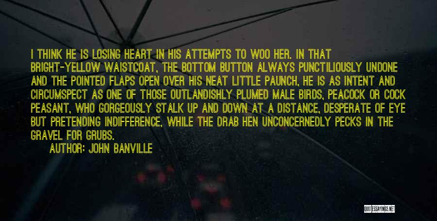 John Banville Quotes: I Think He Is Losing Heart In His Attempts To Woo Her. In That Bright-yellow Waistcoat, The Bottom Button Always