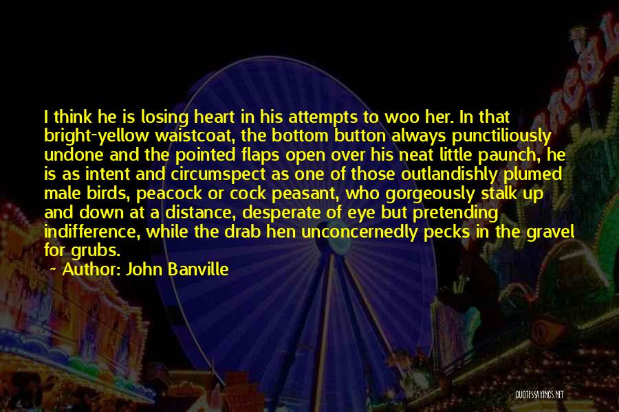 John Banville Quotes: I Think He Is Losing Heart In His Attempts To Woo Her. In That Bright-yellow Waistcoat, The Bottom Button Always