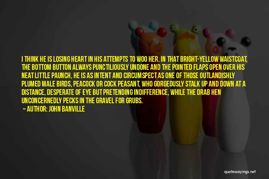 John Banville Quotes: I Think He Is Losing Heart In His Attempts To Woo Her. In That Bright-yellow Waistcoat, The Bottom Button Always