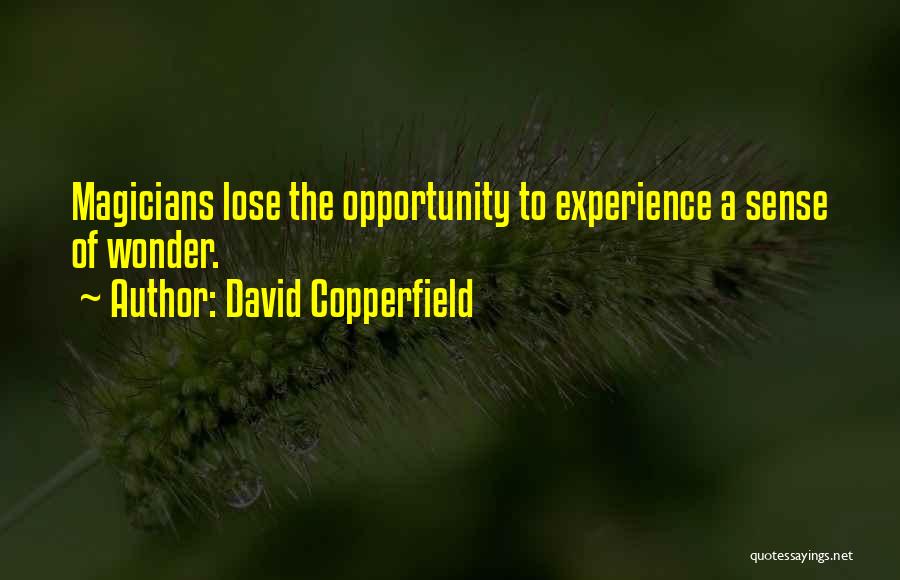 David Copperfield Quotes: Magicians Lose The Opportunity To Experience A Sense Of Wonder.