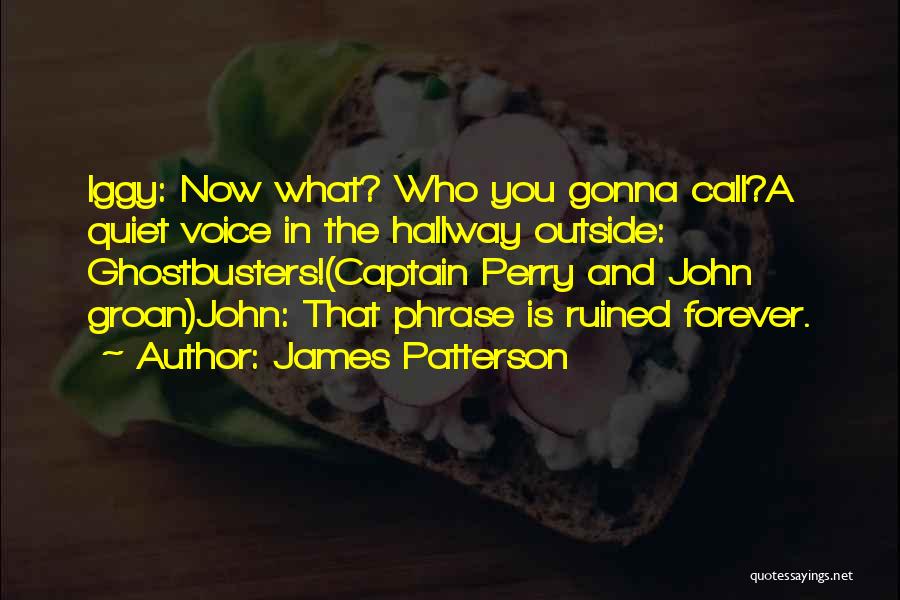 James Patterson Quotes: Iggy: Now What? Who You Gonna Call?a Quiet Voice In The Hallway Outside: Ghostbusters!(captain Perry And John Groan)john: That Phrase