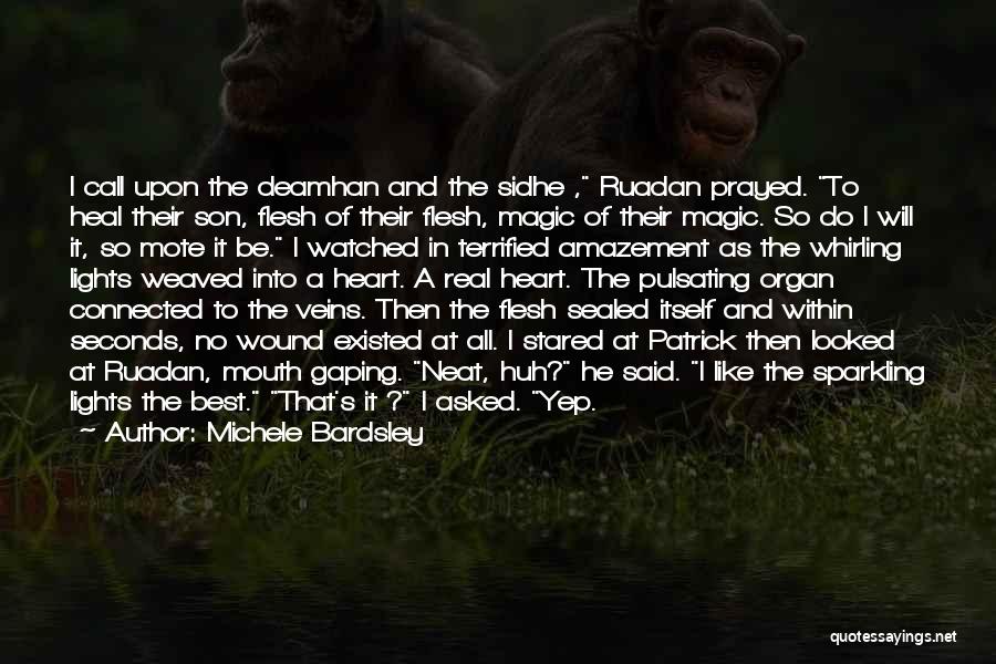 Michele Bardsley Quotes: I Call Upon The Deamhan And The Sidhe , Ruadan Prayed. To Heal Their Son, Flesh Of Their Flesh, Magic