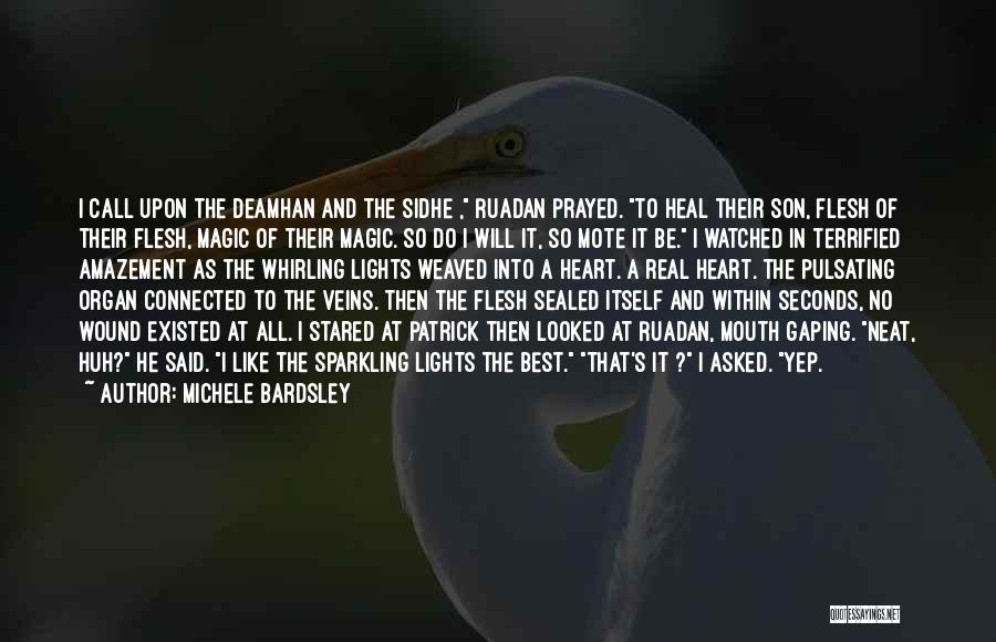 Michele Bardsley Quotes: I Call Upon The Deamhan And The Sidhe , Ruadan Prayed. To Heal Their Son, Flesh Of Their Flesh, Magic