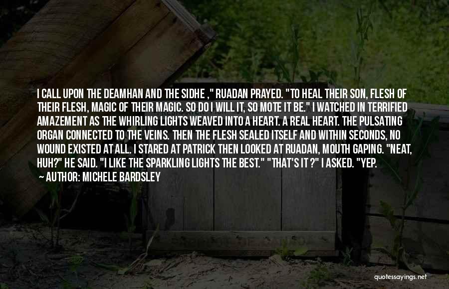 Michele Bardsley Quotes: I Call Upon The Deamhan And The Sidhe , Ruadan Prayed. To Heal Their Son, Flesh Of Their Flesh, Magic