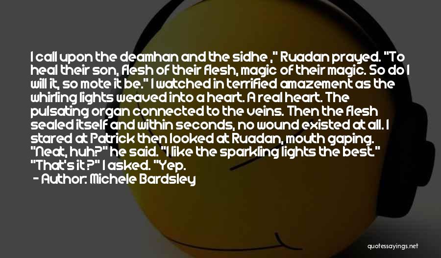 Michele Bardsley Quotes: I Call Upon The Deamhan And The Sidhe , Ruadan Prayed. To Heal Their Son, Flesh Of Their Flesh, Magic