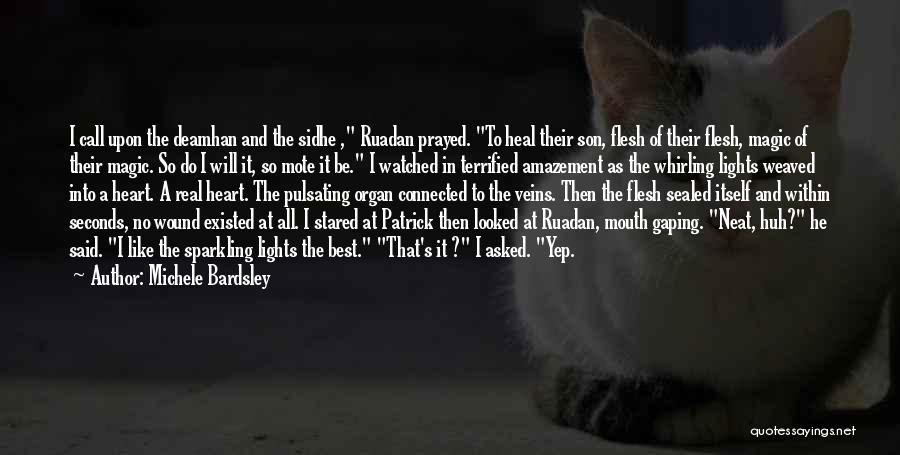 Michele Bardsley Quotes: I Call Upon The Deamhan And The Sidhe , Ruadan Prayed. To Heal Their Son, Flesh Of Their Flesh, Magic