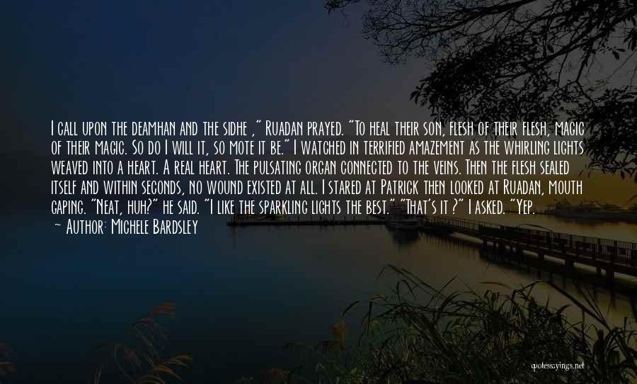 Michele Bardsley Quotes: I Call Upon The Deamhan And The Sidhe , Ruadan Prayed. To Heal Their Son, Flesh Of Their Flesh, Magic