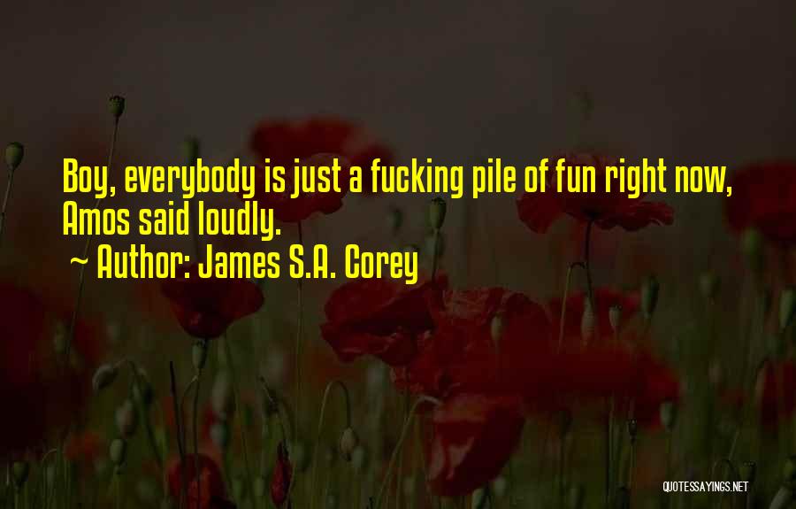 James S.A. Corey Quotes: Boy, Everybody Is Just A Fucking Pile Of Fun Right Now, Amos Said Loudly.