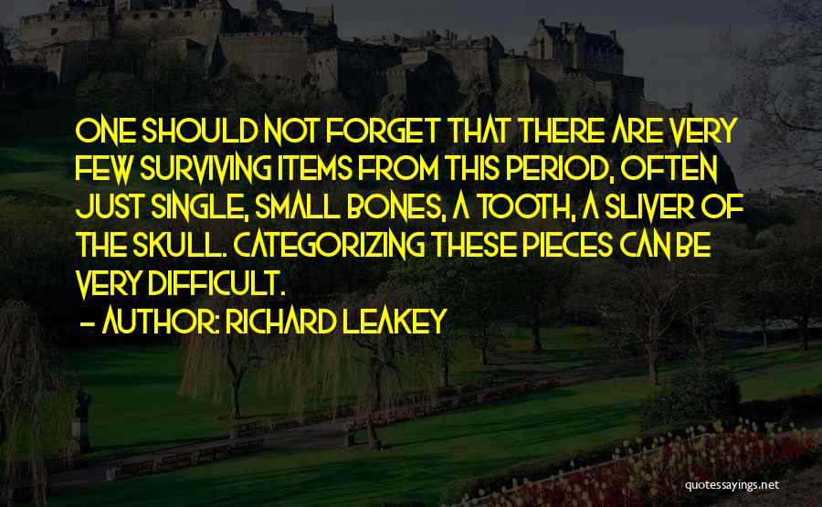 Richard Leakey Quotes: One Should Not Forget That There Are Very Few Surviving Items From This Period, Often Just Single, Small Bones, A