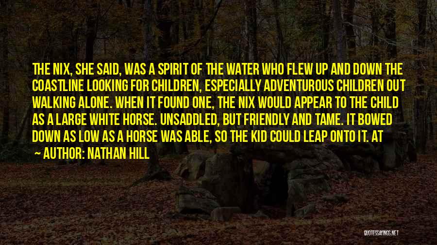 Nathan Hill Quotes: The Nix, She Said, Was A Spirit Of The Water Who Flew Up And Down The Coastline Looking For Children,