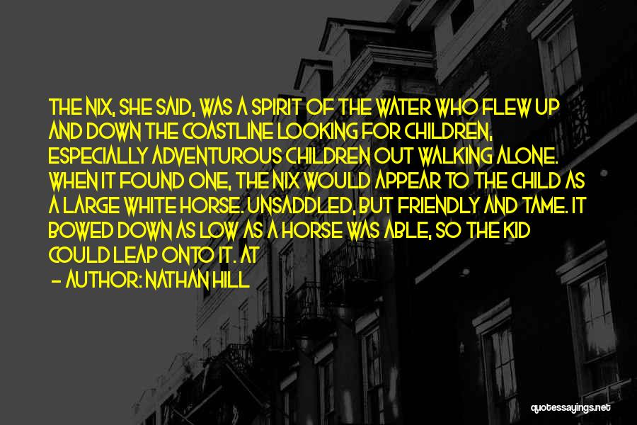 Nathan Hill Quotes: The Nix, She Said, Was A Spirit Of The Water Who Flew Up And Down The Coastline Looking For Children,