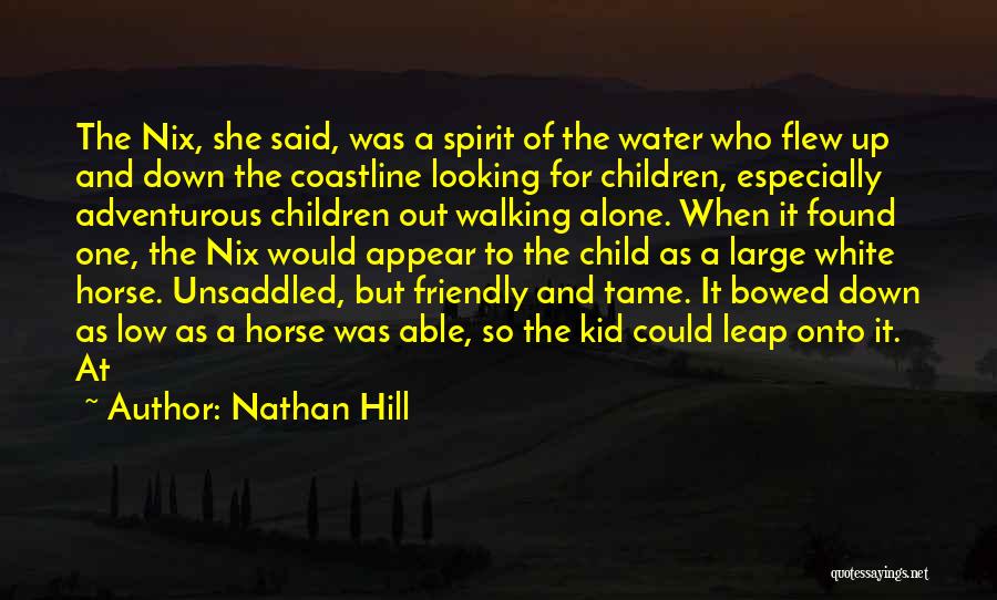 Nathan Hill Quotes: The Nix, She Said, Was A Spirit Of The Water Who Flew Up And Down The Coastline Looking For Children,