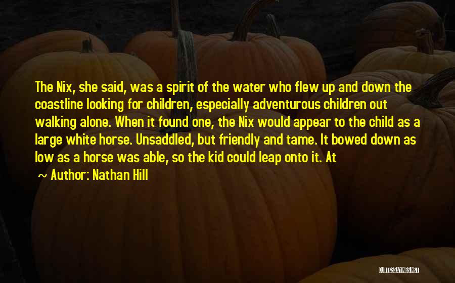 Nathan Hill Quotes: The Nix, She Said, Was A Spirit Of The Water Who Flew Up And Down The Coastline Looking For Children,