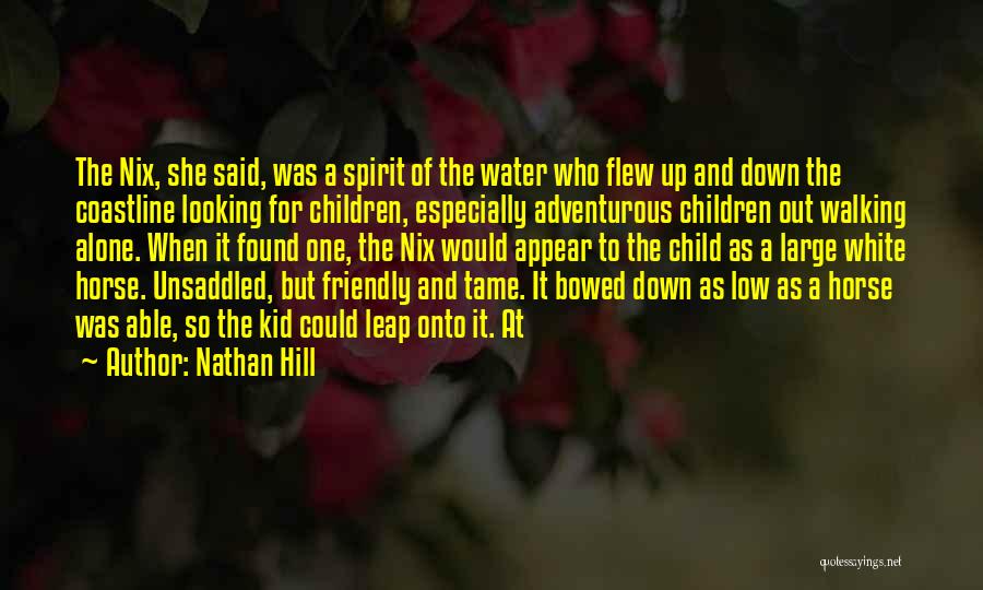 Nathan Hill Quotes: The Nix, She Said, Was A Spirit Of The Water Who Flew Up And Down The Coastline Looking For Children,