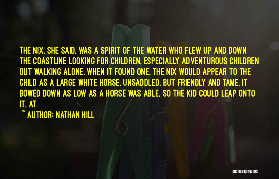 Nathan Hill Quotes: The Nix, She Said, Was A Spirit Of The Water Who Flew Up And Down The Coastline Looking For Children,